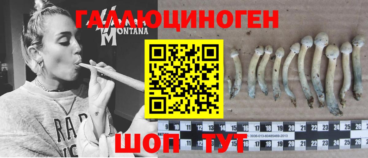 Орск  Псилоцибиновые грибы мухоморы  Вход с VPN  Галлюциногенные грибы прущие грибы 